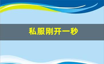梦幻西游俬服：私服刚开一秒 (3)