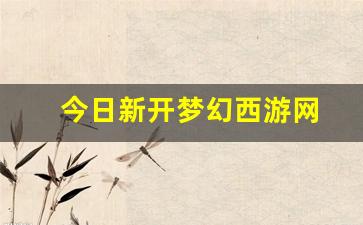 今日新开梦幻西游网 (5)