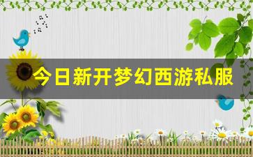 今日新开梦幻西游私服 (8)