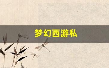 梦幻西游私 (9)