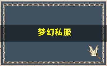 梦幻私服(梦幻手游私sf平台) (17)
