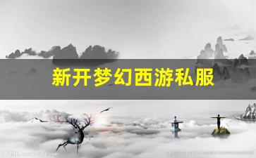 新开梦幻西游私服 (6)