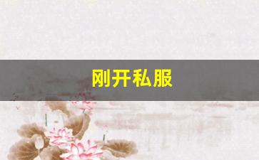 梦幻西游新区：刚开私服 (2)