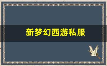 新梦幻西游私服(梦幻西游手游) (19)