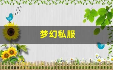 <strong>私服网站：梦幻私服(梦幻手游私sf平台) (3)</strong>