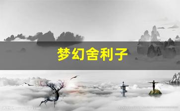 私服发布网站：梦幻舍利子(梦幻舍利子多少钱一粒) (16)