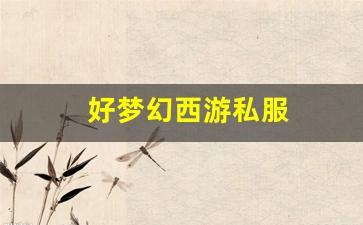 好梦幻西游私服(梦幻西游手游) (5)