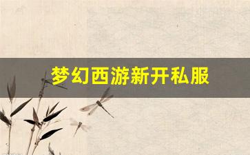 梦幻西游新开私服 (3)