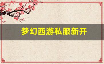 梦幻舍利子：梦幻西游私服新开(梦幻西游手游吧) (18)