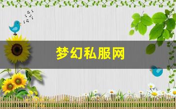 梦幻私服网 (15)