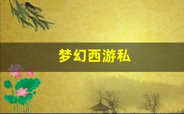 梦幻西游私(梦幻西游私sf平台入口)