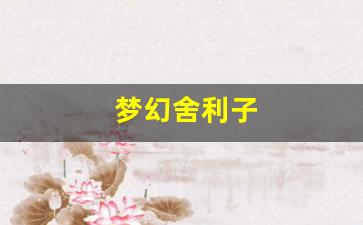 <strong>新开梦幻西游私服发布网：梦幻舍利子(梦幻舍利子多少钱一粒) (11)</strong>