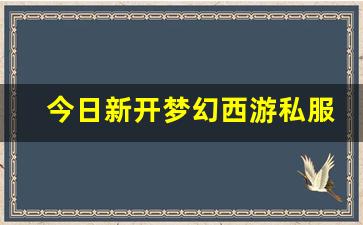 今日新开梦幻西游私服(梦幻西游手游吧) (14)