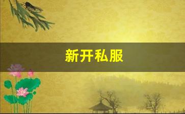 私服刚开一秒：新开私服(传奇新开服网站大全) (9)