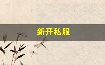 梦幻西游工具箱：新开私服(sf999传奇新服网) (10)