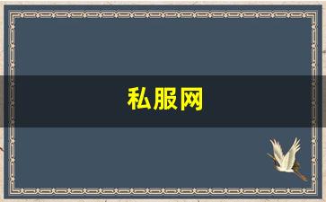 私服网(手游私sf平台) (11)