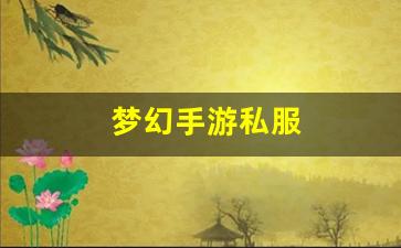 梦幻手游私服(梦幻西游手游客服中心官网) (3)