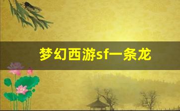 梦幻西游sf一条龙(梦幻西游龙1是哪)