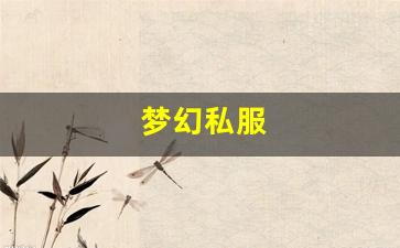 好梦幻西游网：梦幻私服(梦幻手游私sf平台) (4)