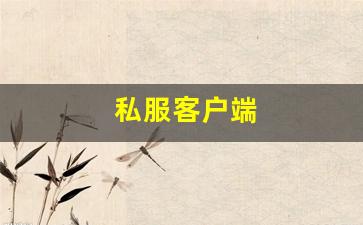 私服客户端 (3)