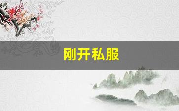 梦幻舍利子：刚开私服 (21)