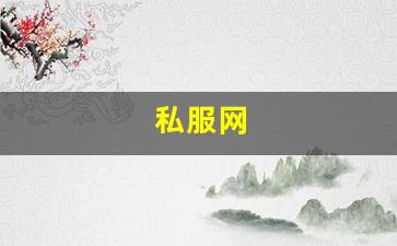 私服网(手游私sf平台) (18)